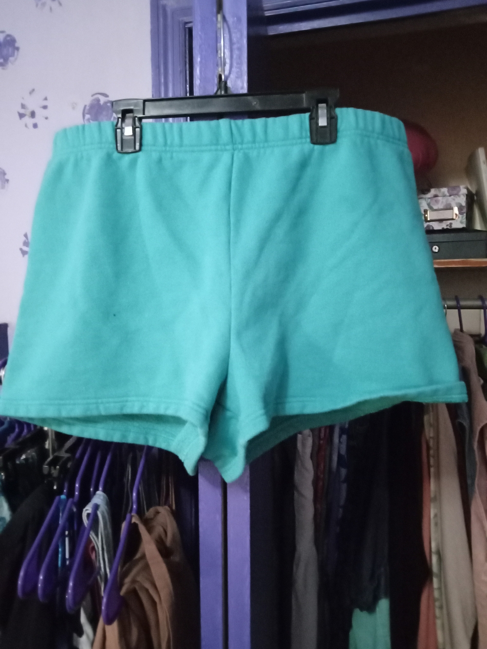 Tha Cozy Blue Jogger Shorts